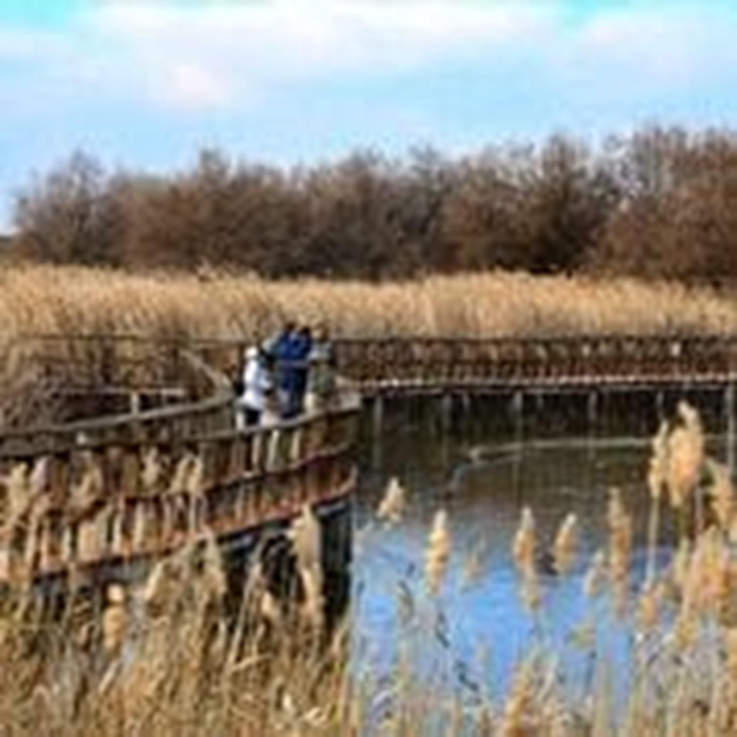 visita tablas de daimiel 