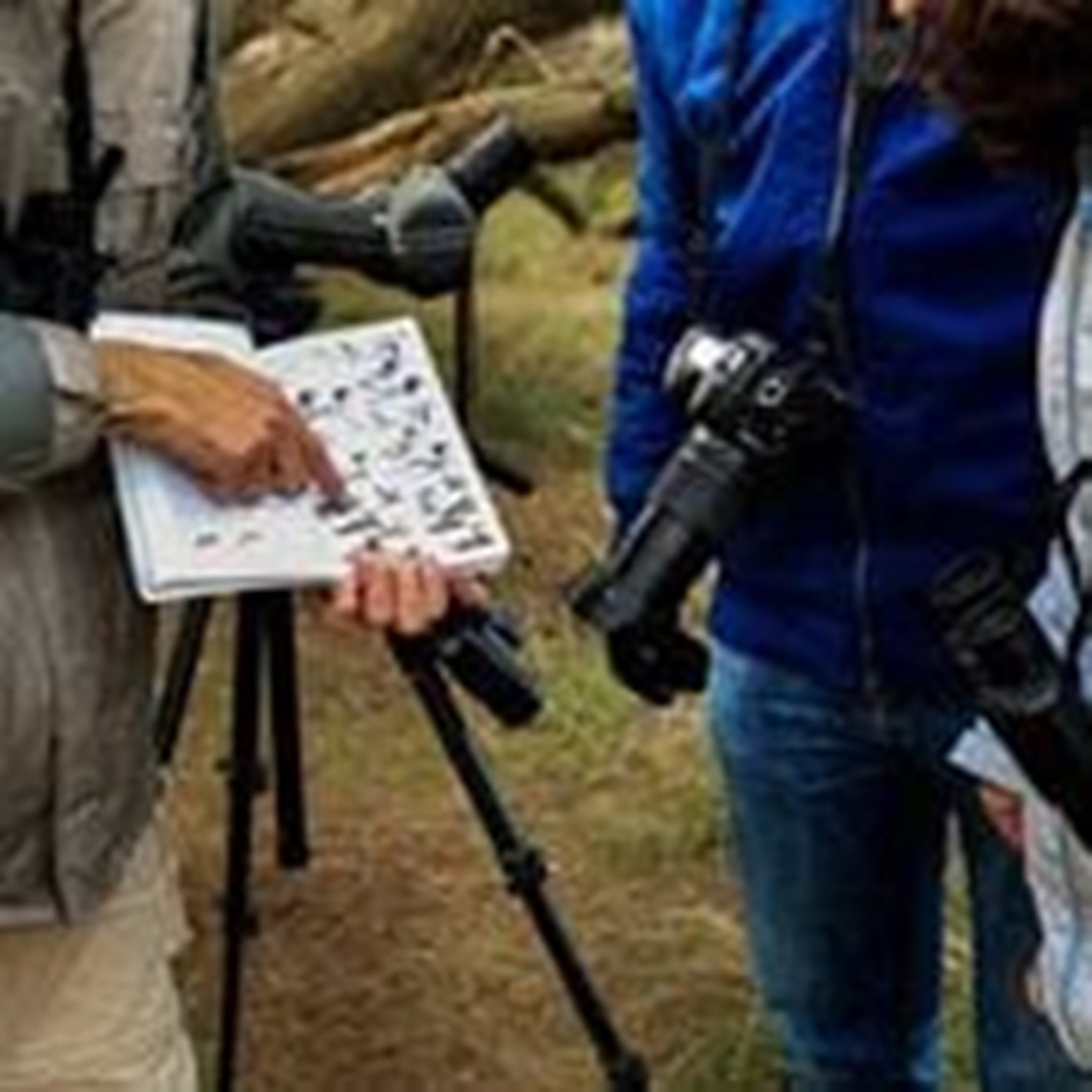 visita tablas de daimiel 